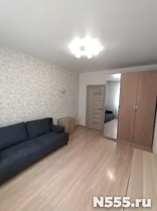 Сдам на длительный срок однокомнатную квартиру фото 2
